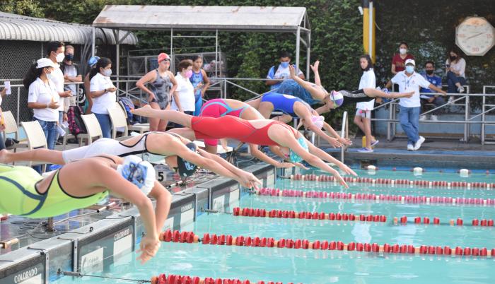 Interprovincial de natación