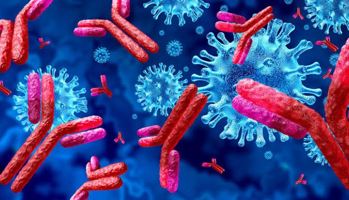 Las cepas actuales de este virus se clasifican en nueve genotipos, dos de los cuales se encuentran predominantemente en poblaciones de ascendencia nativa americana.