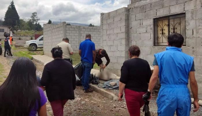 Perros envenenados - Pifo - Quito