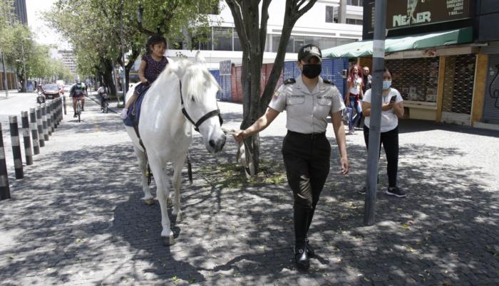 Caballo - Policía - Quito