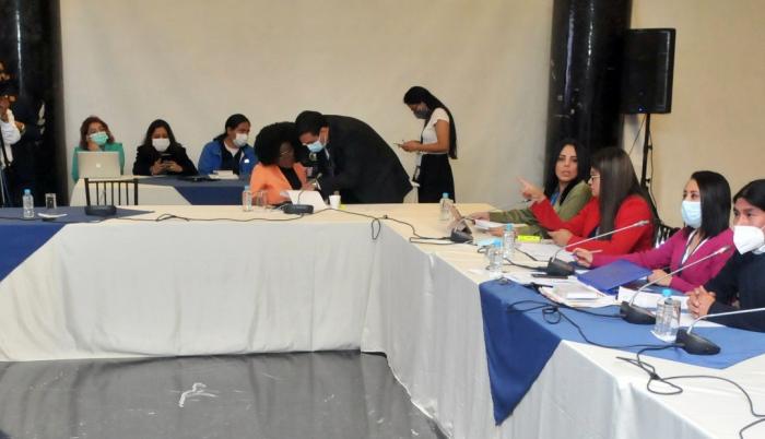 Comisión de garantías constitucionales