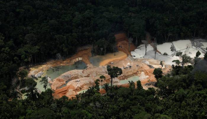 amazonia