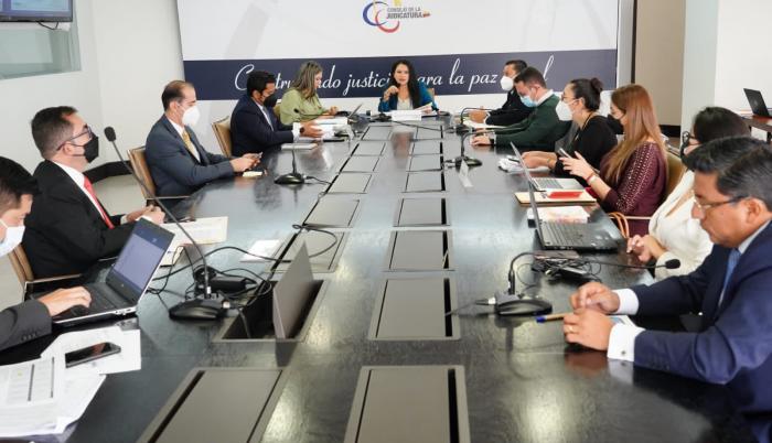 judicatura pleno