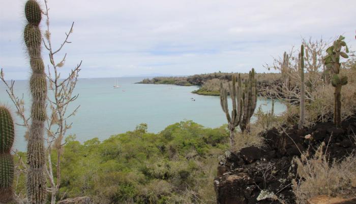 Galápagos