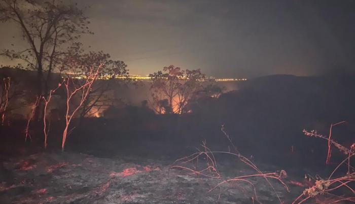 Incendio afecto alrededor de 10 hectareas 5