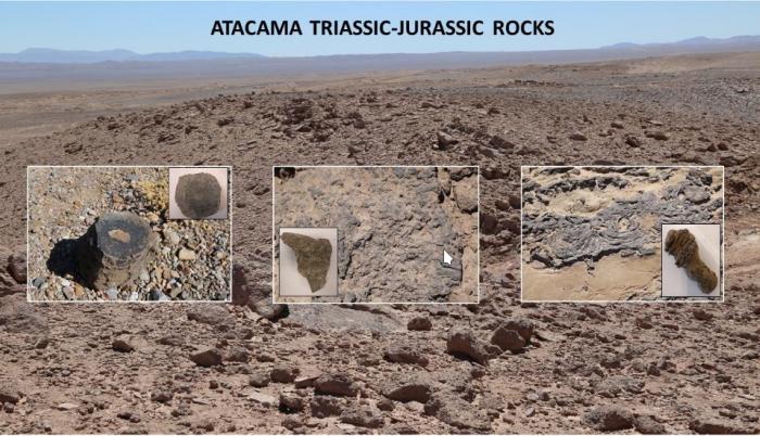 Imagen cedida por Guillermo Chong y Laura Sánchez-García de los afloramientos de carbonatos marinos del Triásico-Jurásico en el Desierto de Atacama (Chile).