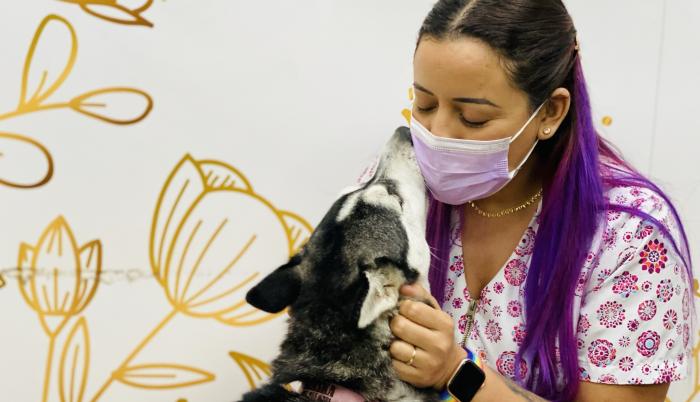 Dr. Patas, veterinaria