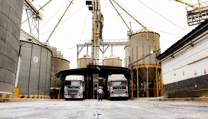 Industria balanceado