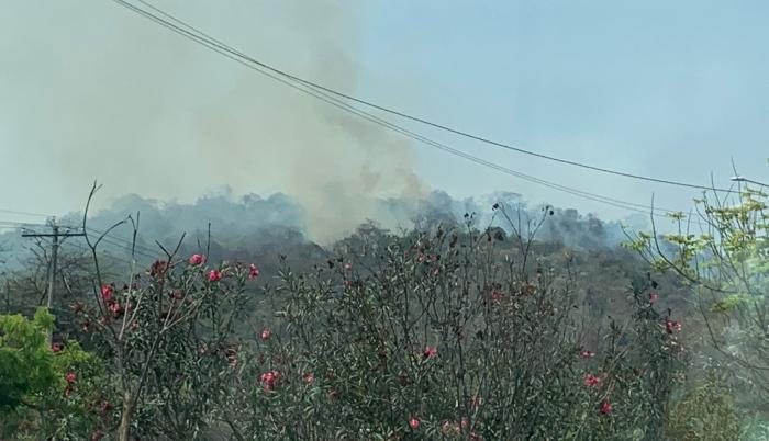 Incendio Forestal en Cerro Colorado 1