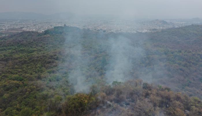 Incendio en cerro colo (7419935)