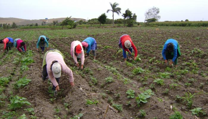 agro