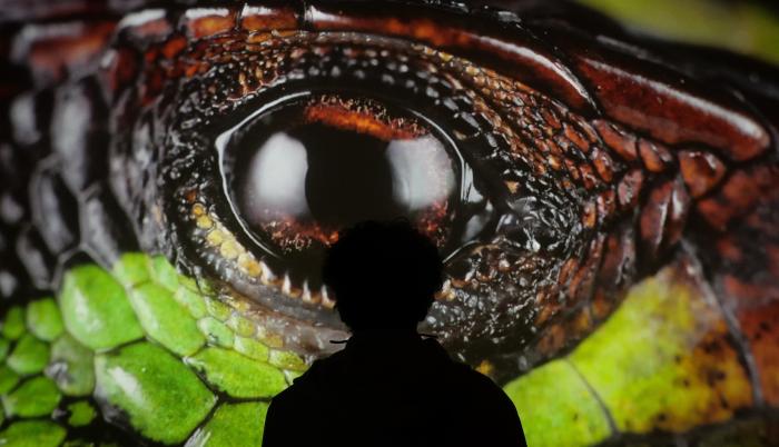 Visitantes disfrutan de la Inauguración de la exposición