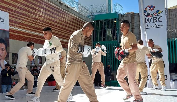 Boxeo