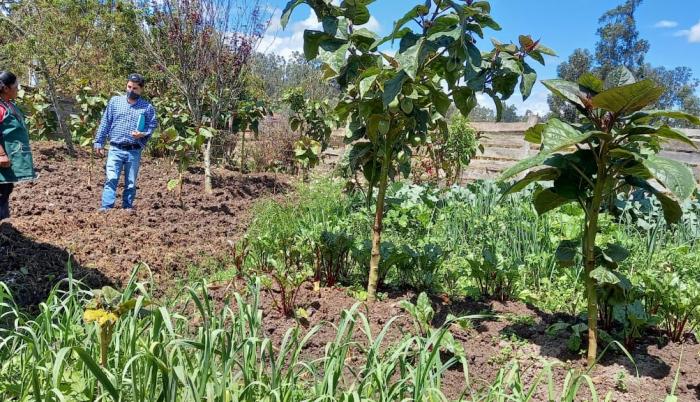 agricultura