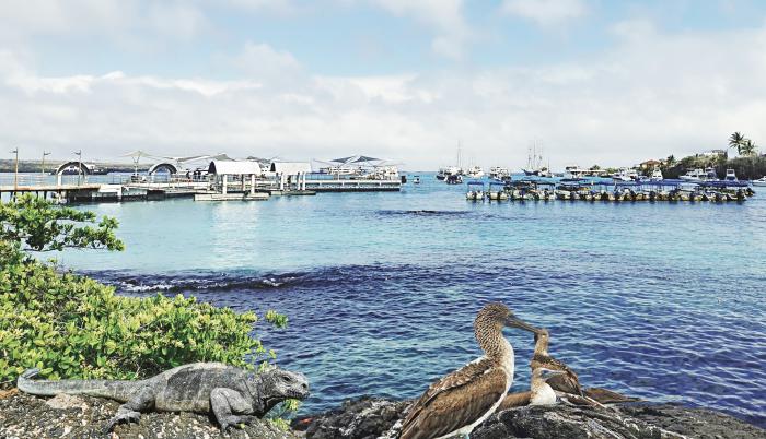 Islas Galápagos