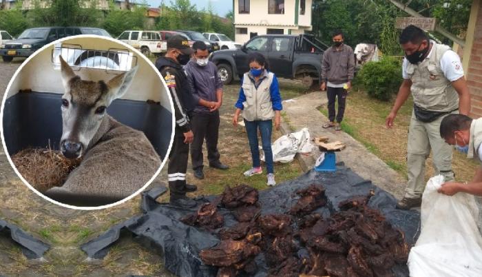 El consumo de carne silvestre es un delito sancionado en Ecuador.