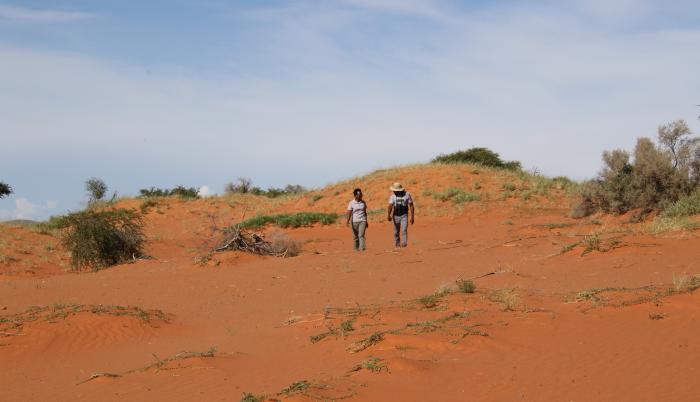 Desierto
