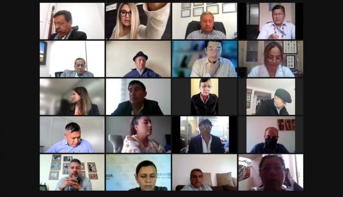 Sesión. Este proyecto de ley fue debatido por 23 legisladores la tarde del 6 de enero vía telemática.