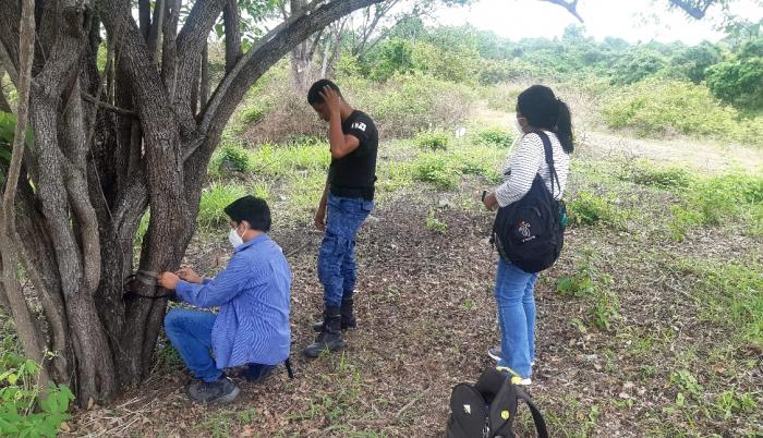 Camara en Bosqueira