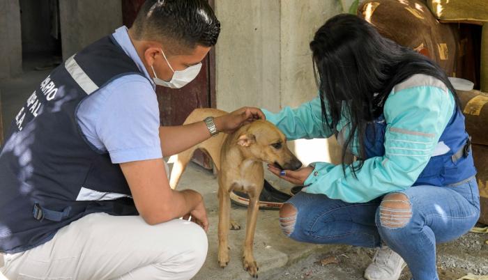 Rescate de Perro Maltratado 1