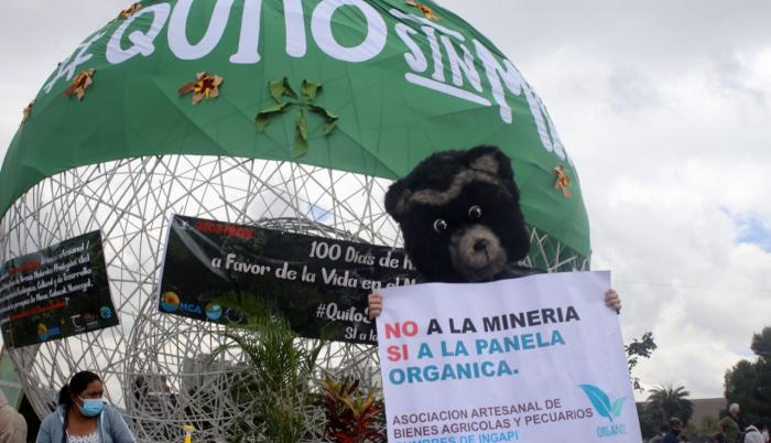 minería- consulta- corte