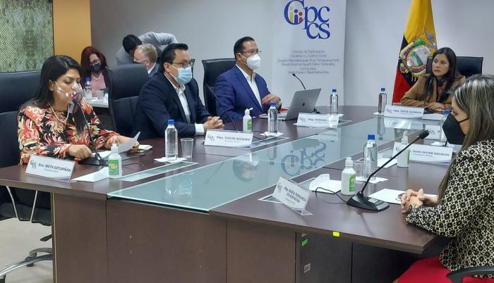 PLENO CPCCS