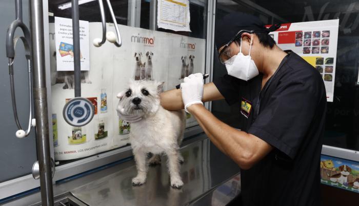 VETERINARIA (7670301)