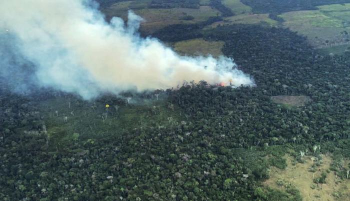 Fotografía de archivo sin fecha cedida por la Fundación para la Conservación y el Desarrollo Sostenible (FCDS), que muestra un incendio forestal en zona rural de Calamar (Colombia).