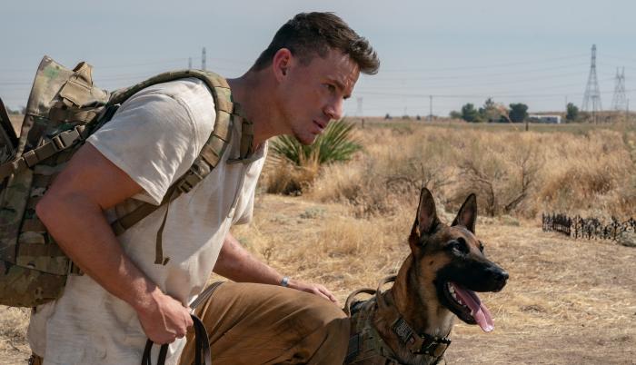 Fotograma cedido por Metro Goldwyn Mayer donde aparece Channing Tatum como Briggs y el pastor belga Lulu, durante una escena de la película