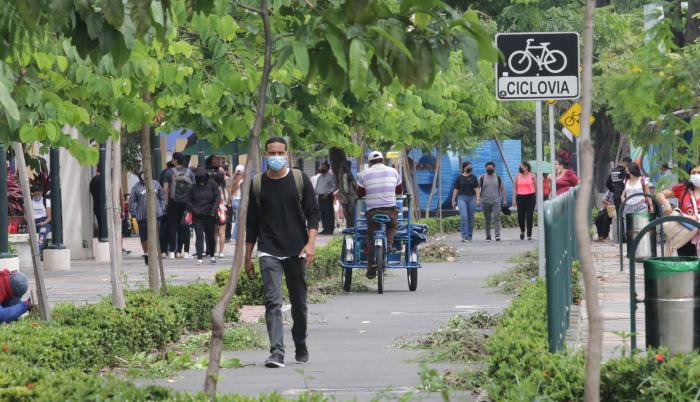 CICLOVIA UNIVERSIDAD (7743411)