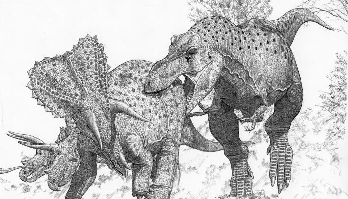 Representación de un Tyrannosaurus imperator que ataca a una manada del contemporáneo Triceratops horridus.