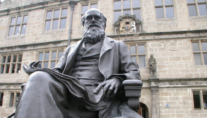 darwin