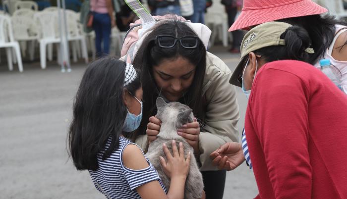 Una treintena de mascotas acompañaron a los ecuatorianos en el segundo vuelo humanitario.