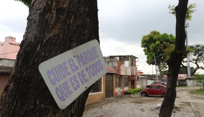Carros en parques