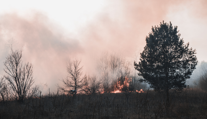Incendios forestales