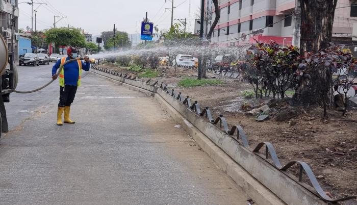 El Municipio ha procurado sembrar nuevas especies nativas en avenidas como la Benjamín Carrión, la autopista Narcisa de Jesús y otros.