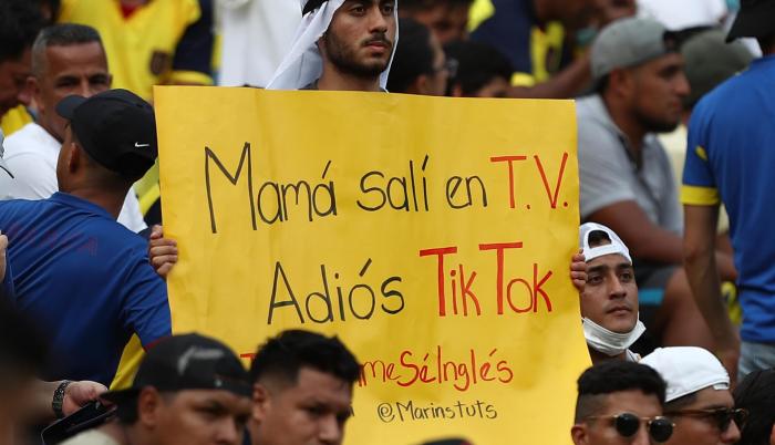 Hinchas ecuatorianos