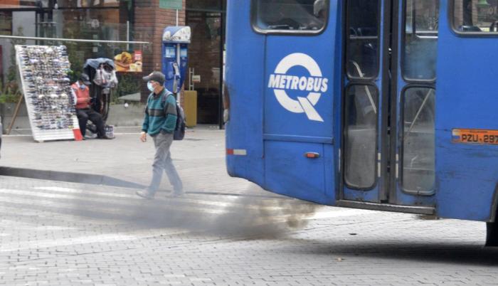 Buses