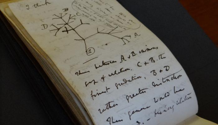 cuadernos del naturalista Charles Darwin