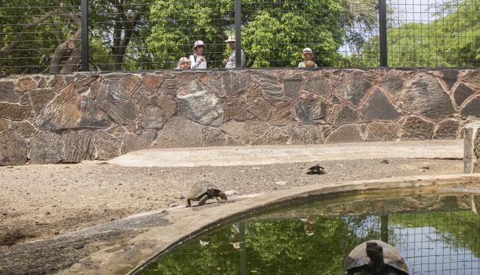 TORTUGAS GALÁPAGOS