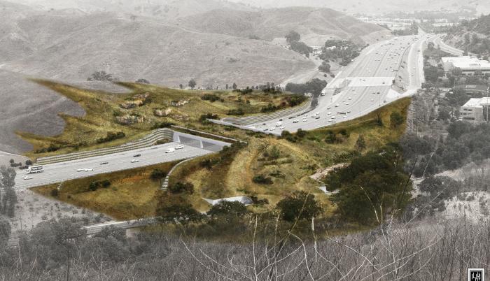 puente silvestre