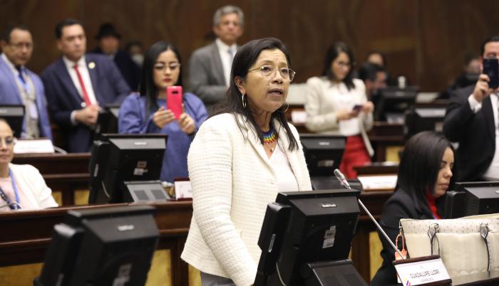 guadalupe llori