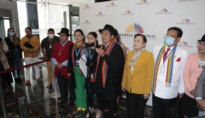 Pachakutik- asamblea- ID
