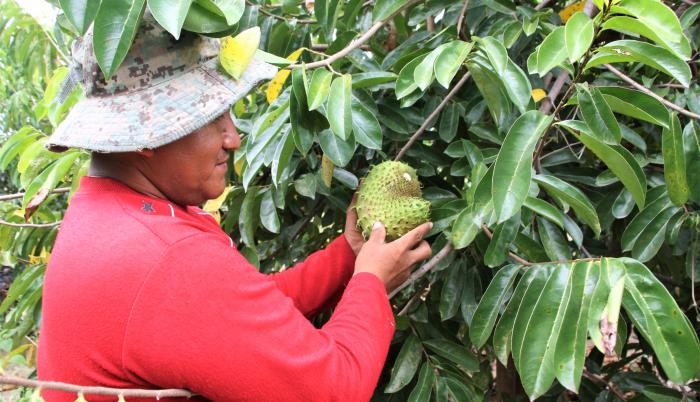 agricultor de Santa Elena