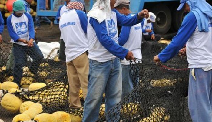 redes pesca