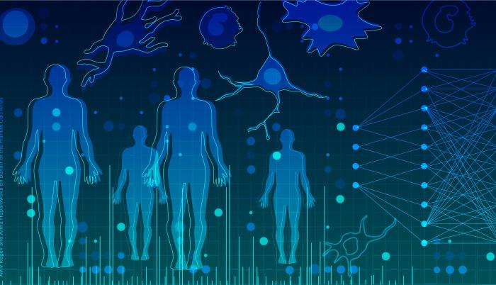 Integración computacional de perfiles y genética de una sola célula para identificar tipos de genes y células patológicas en el cuerpo humano.