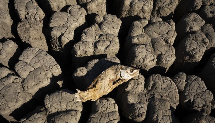 Imagen de archivo de la extrema sequía en la presa de Nqweba, en Sudáfrica.