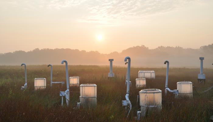 Amanecer en el humedal de investigación del Smithsonian Envioronmental Reseach Center (SERC) en Maryland, Estados Unidos. En estas cámaras se cultivan plantas con CO2 extra desde 1987.