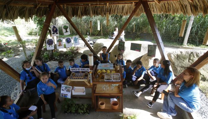 Una escuela hecha de r (8206418)