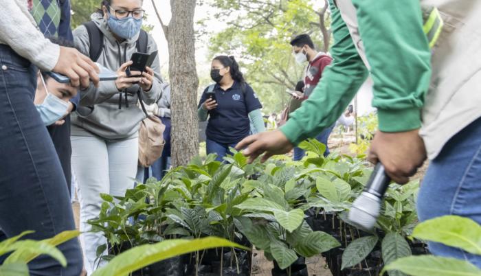 Espol vivero